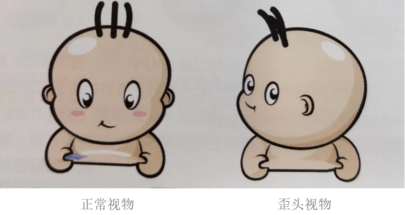 微信图片_20230425091240